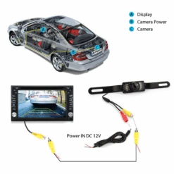 Pumpkin - Y0811 -Klang Garage 32580f05b173f0e 1280x1280